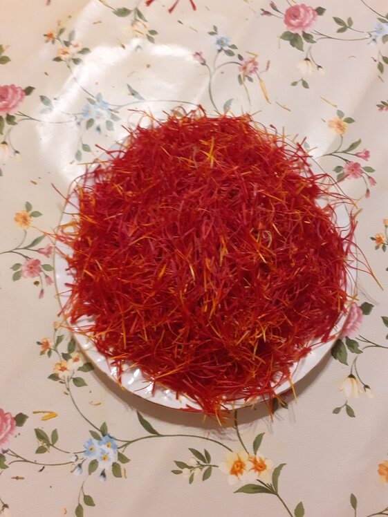 afd038f1-c5f9-4d45-9122-2d83c992aaf0 afd038f1-c5f9-4d45-9122-2d83c992aaf0