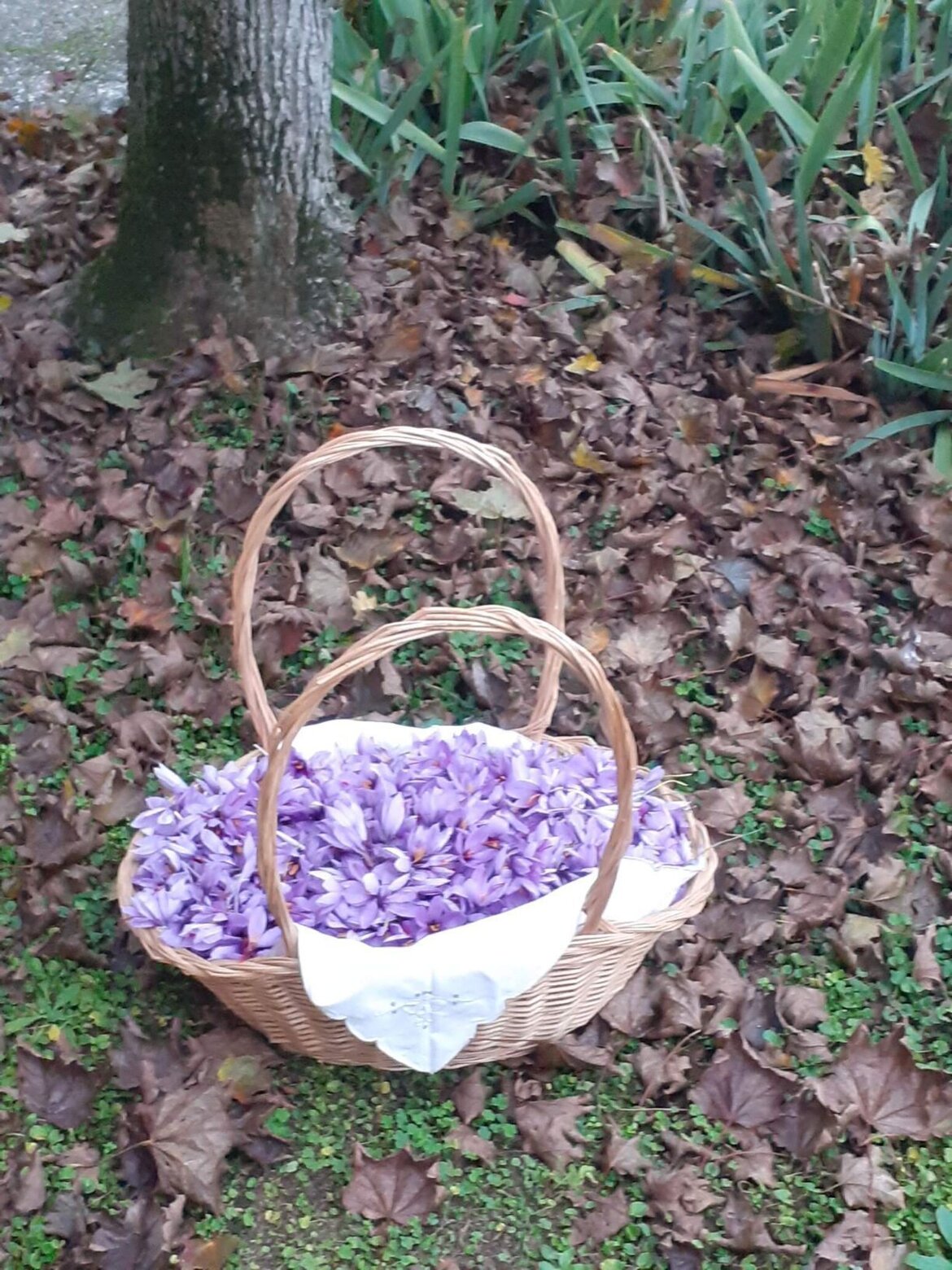 f3045ef4-9591-4325-a109-9c21861fa13d f3045ef4-9591-4325-a109-9c21861fa13d