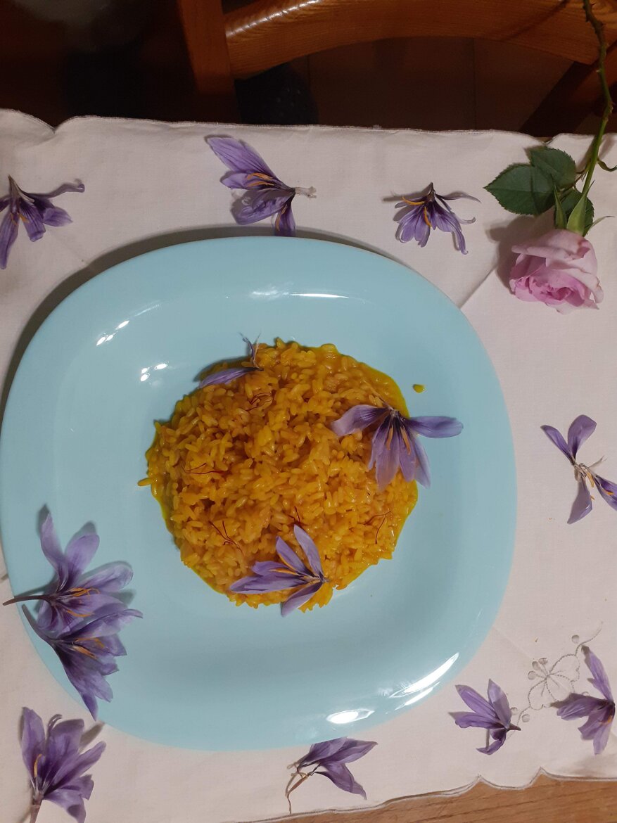 64ef1f50-b2a4-4be5-9504-c86e5765b52b 64ef1f50-b2a4-4be5-9504-c86e5765b52b