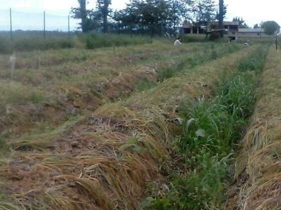 cb1d5d1b-0920-4183-b5e8-8502aeba46bd cb1d5d1b-0920-4183-b5e8-8502aeba46bd