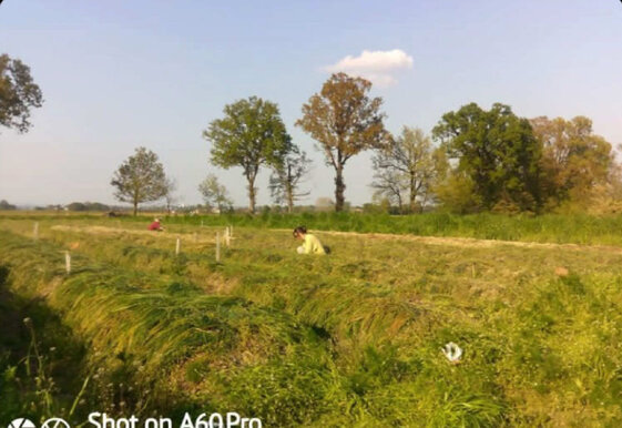 aa563681-f77e-496b-bd2b-a91d54e0a88d aa563681-f77e-496b-bd2b-a91d54e0a88d