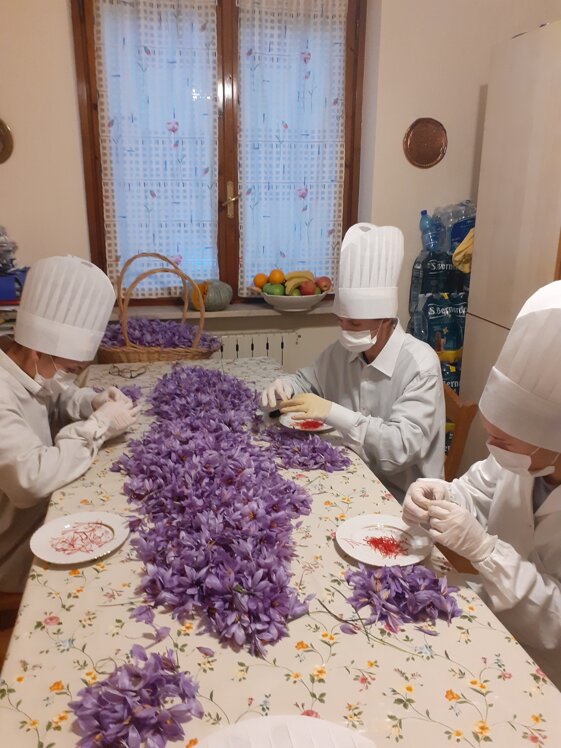 13644987-f71f-4784-9d22-e384ce64e42d 13644987-f71f-4784-9d22-e384ce64e42d