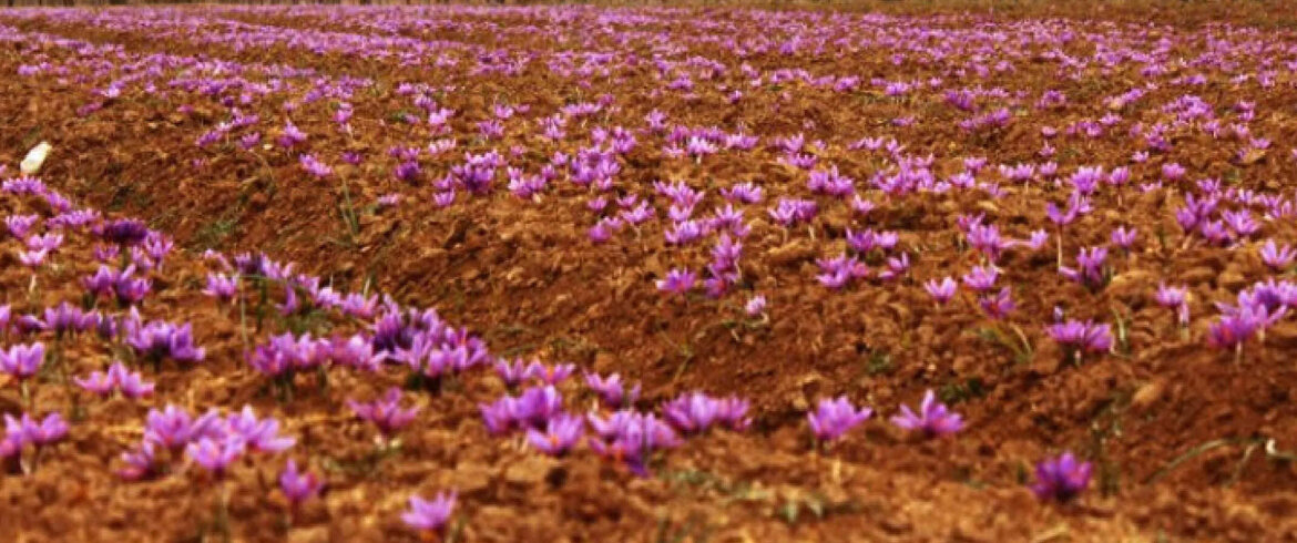 f46e9968-5cfc-48eb-8984-289fd39c801e f46e9968-5cfc-48eb-8984-289fd39c801e