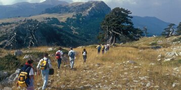 654c1084-6e0c-40b6-95bc-d602788c9d44