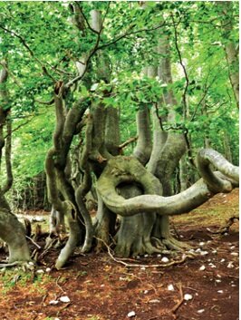 8a0e6948-b8e7-4308-bc37-40becd6d870b