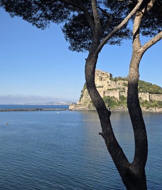 20250510_141146.jpeg 20250510_141146.jpeg