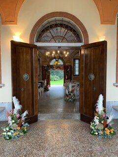 img_8250.jpeg