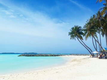 33fccc30-59ed-49e3-a11c-9111b281b9e6.jpeg 33fccc30-59ed-49e3-a11c-9111b281b9e6.jpeg