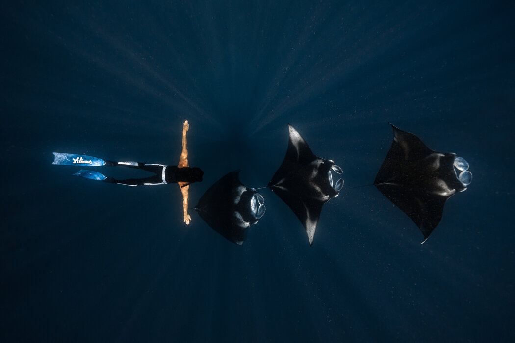 2a0a34a3-0bb9-48b7-9278-1aa923f64c12