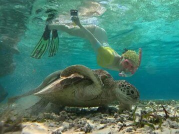 921cde94-08da-4892-b7ee-a13d7eae9ac6.jpeg 921cde94-08da-4892-b7ee-a13d7eae9ac6.jpeg