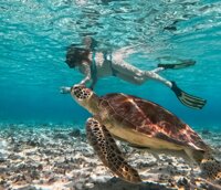 592733c8-f091-4285-8e99-625c263e3c3e.jpeg 592733c8-f091-4285-8e99-625c263e3c3e.jpeg