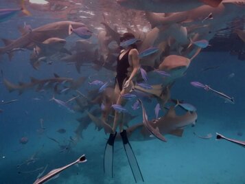 9e1e1ab4-2f2e-4ee1-8208-1986b82dc346.jpeg 9e1e1ab4-2f2e-4ee1-8208-1986b82dc346.jpeg