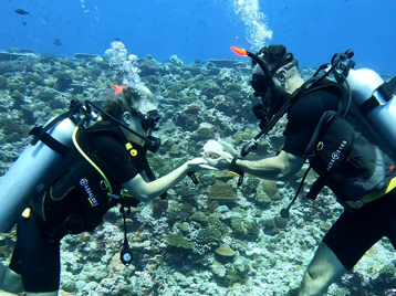 6a3afb68-3c0b-4075-9a87-54fb166cafcd 6a3afb68-3c0b-4075-9a87-54fb166cafcd