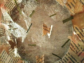 d3c10086-8a50-4e5c-a4be-bb7e2b50247c