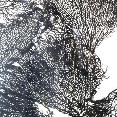 eyJlbiI6IkFsaWNlIFBhZG92YW5pIC0gTGUgOCBwb3J0ZSwgQXJ0aXN0cyBmb3IgQWxpbmEgVGhlIFBvd2VyIDIwMjMsIEFsaW5hIEFydCBGb3VuZGF0aW9uIn0=