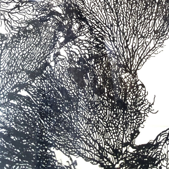 72ea717c-13f7-4d19-8070-c176e445b921