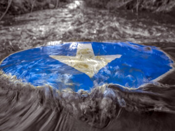 97229215-c62a-4f52-8c3f-34aa114589de