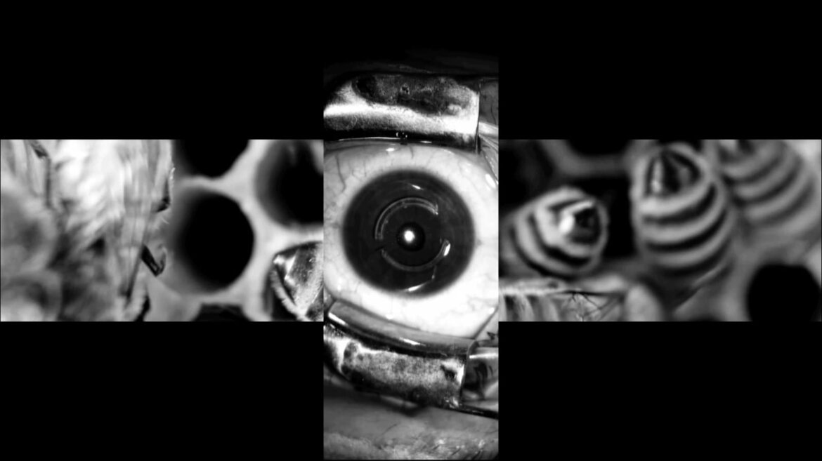 d319ec3b-315f-42c1-9d35-c1a0c6467688