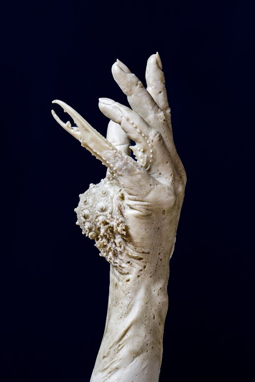 0d8f55ab-3b95-4afb-9c9e-f0a0a6050d75