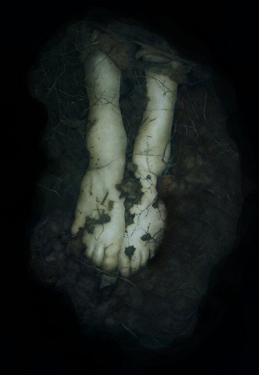 d1628783-0576-41b9-80b1-8b0968bf989d