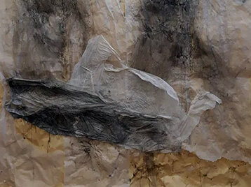 983ff270-6736-4258-a627-0e780f8422d5