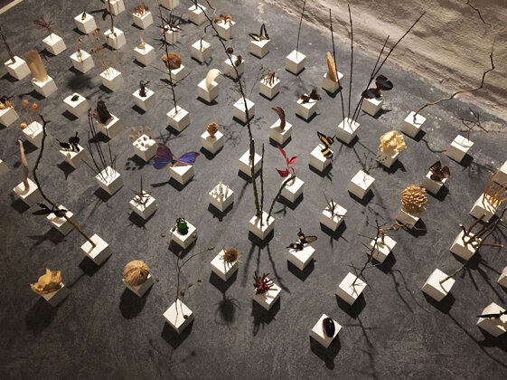 fcbd50c7-419f-4c1e-b896-f3a72fca5d9b