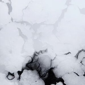 cce4db31-688e-4858-ae34-b2360371a50d