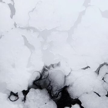 cce4db31-688e-4858-ae34-b2360371a50d