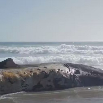 c6518c1e-233c-4fcd-87c9-8673d5134ea6