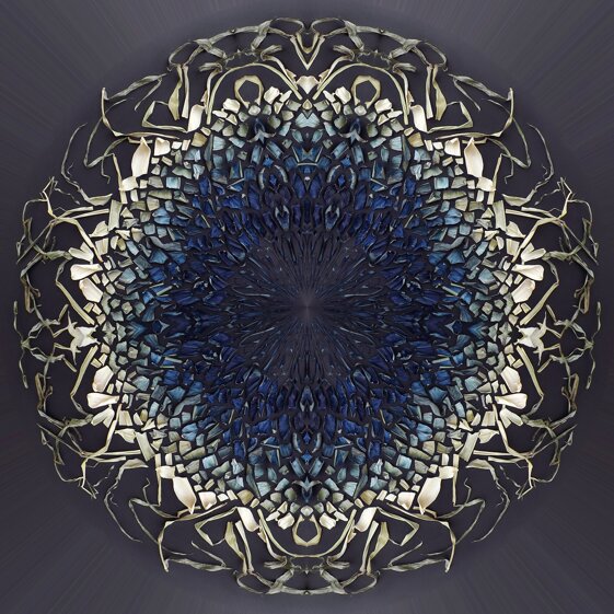 c3804746-c7de-4e4b-9706-d974559cc1ba