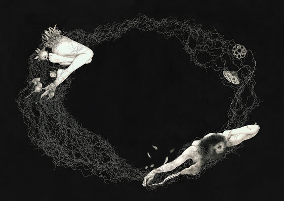 0f8039fe-8c65-47ef-94e4-184844986236