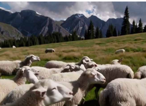 una-montagna-di-pascoli-luca-loddo-forte-di-bard.jpeg