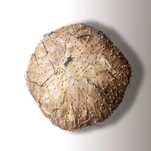 b5376464-c39b-4347-ae34-451cd6339629