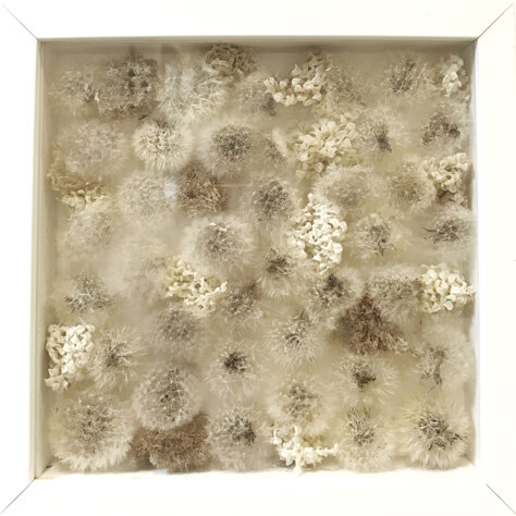 e8813595-ef4f-468c-bcaf-9a16ce34bdec