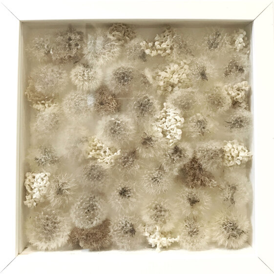 e8813595-ef4f-468c-bcaf-9a16ce34bdec