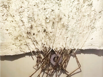 b7cf459c-42cc-485a-bb1c-5019f988765f