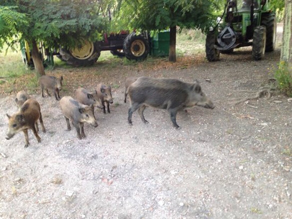 1f09e0d8-04e9-488f-b425-521c8ee3c26e