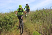 9e45f862-5b6f-48e7-87fc-440628ae39a6