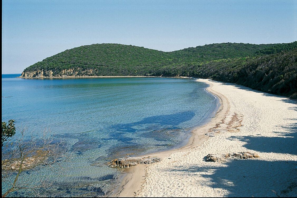 008b3d45-3d53-4bf1-af1d-3633b945b55f