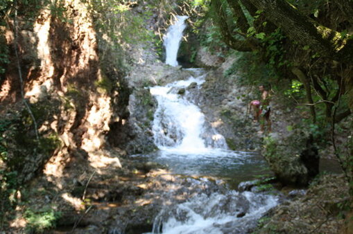 145b0305-8596-42ec-8155-f84e63b239db