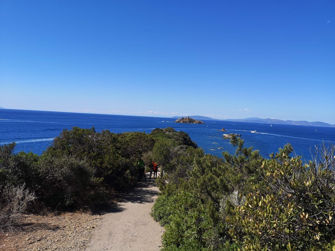 4bb5de39-f831-4365-a426-67fdab4c714b