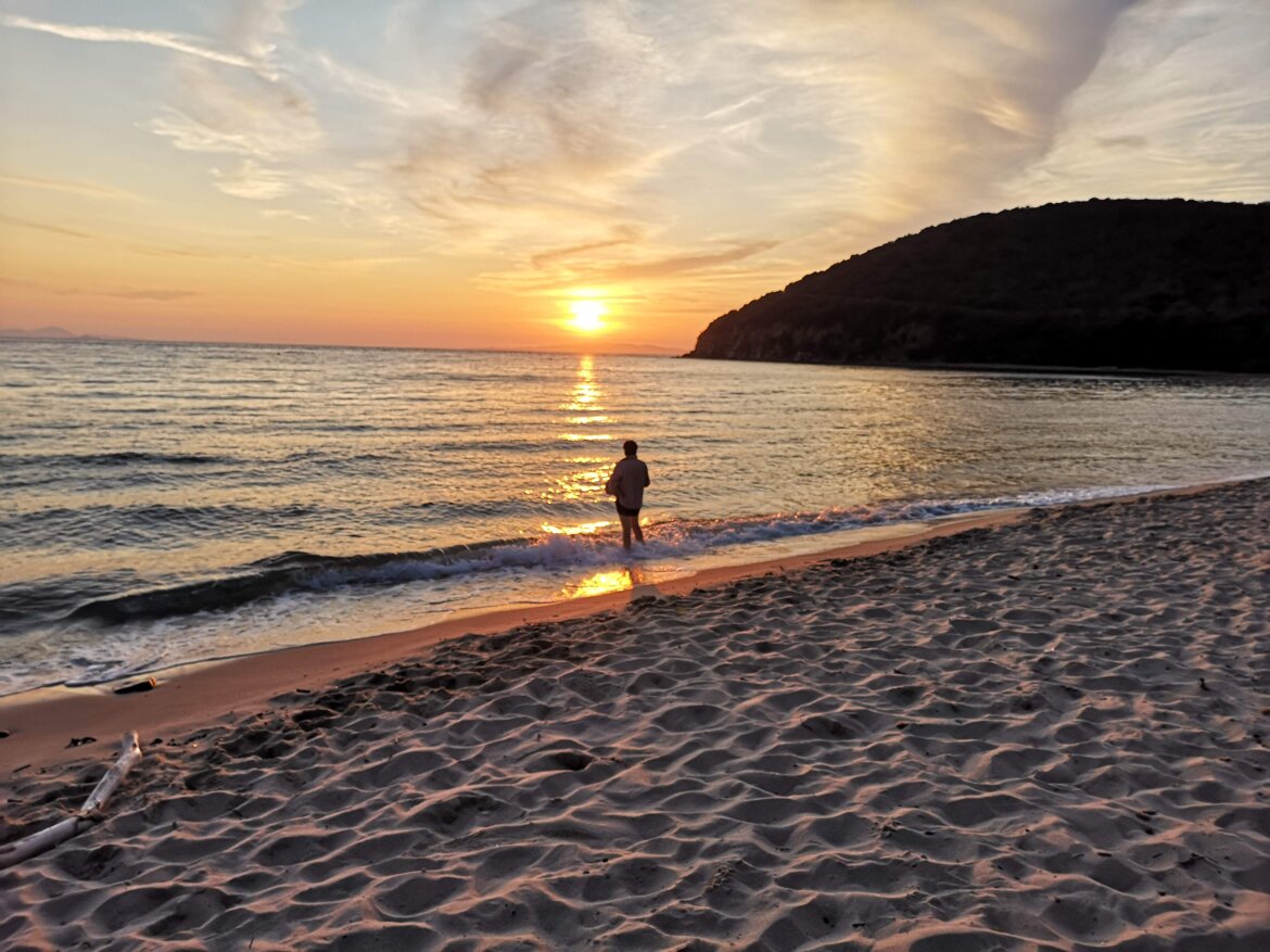 a4af608e-32ab-4fae-9438-635637a6c3c7