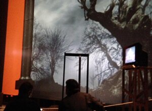 lirica%20verdi%2018%20(2).jpeg lirica%20verdi%2018%20(2).jpeg