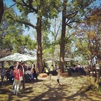 f8459627-a3db-4158-b584-7ed6261a521b