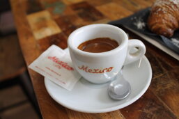 0320076f-390f-44e6-80a4-999b318005ca