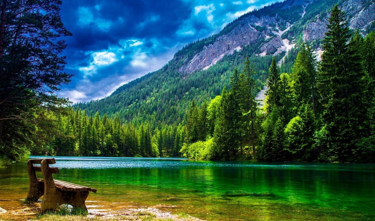 9ae2d712-e983-400b-b1ae-65edf4997c81 9ae2d712-e983-400b-b1ae-65edf4997c81