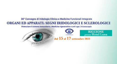 11e4c5d6-4db7-4f44-8fe3-a82ac4d1b167