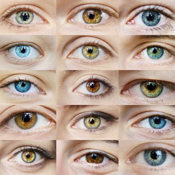 d7d9910c-9ddb-492c-b9e9-04aa4c6530a0 d7d9910c-9ddb-492c-b9e9-04aa4c6530a0