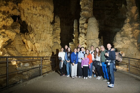 f0cab469-2a26-4fbc-9b6f-8b5e7c26b7ed