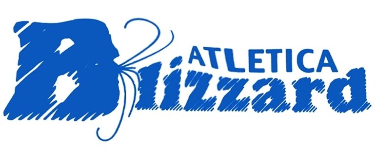 logo blizzard.jpeg
